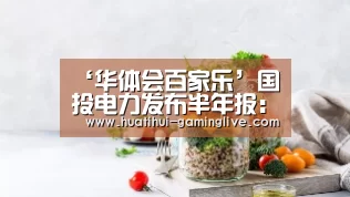 ‘华体会百家乐’国投电力发布半年报:水电待成长,火电弹性现(图3) 华体会电子