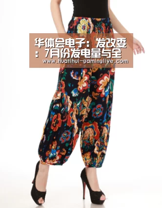 华体会电子:发改委:7月份发电量与全社会用电量增速均有所回落(图1) 华体会棋牌游戏